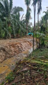 รถแม็คโครรับจ้างพะโต๊ะ